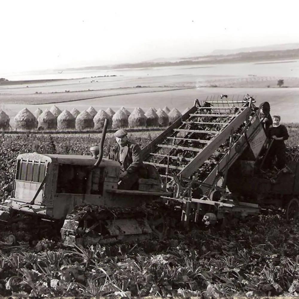 harvesting at logie farm