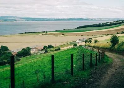 View of farm with forth in bg