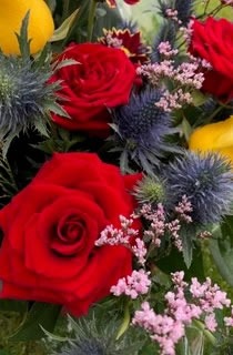 extras bouquet extras bouquet